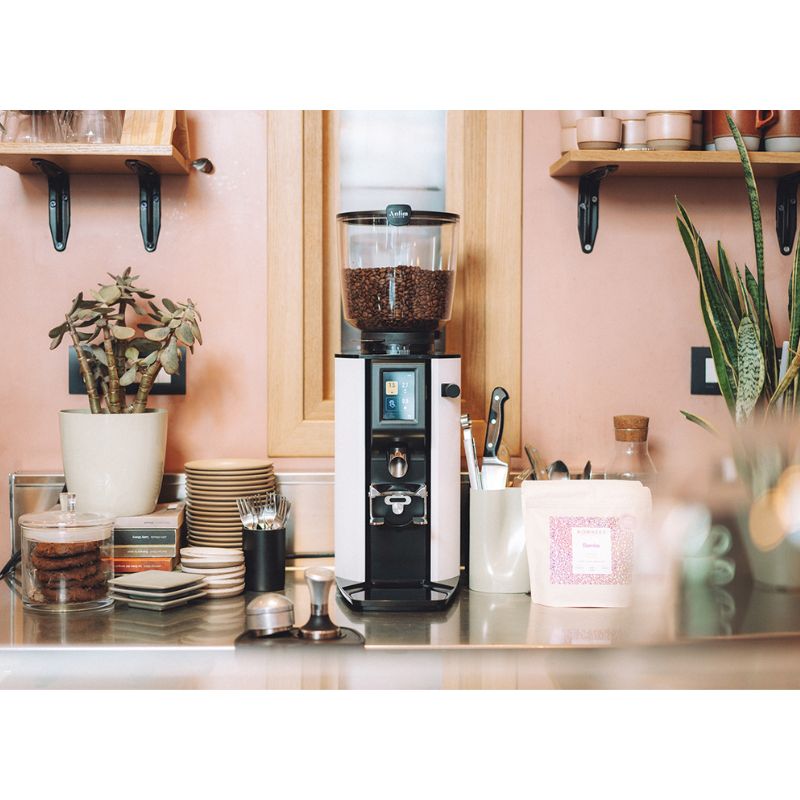 Gray Anfim ALBA On Demand Commercial Coffee Grinder
