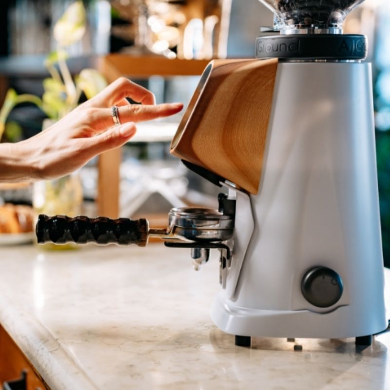 Fiorenzato Allground Domestic Espresso Coffee Grinder