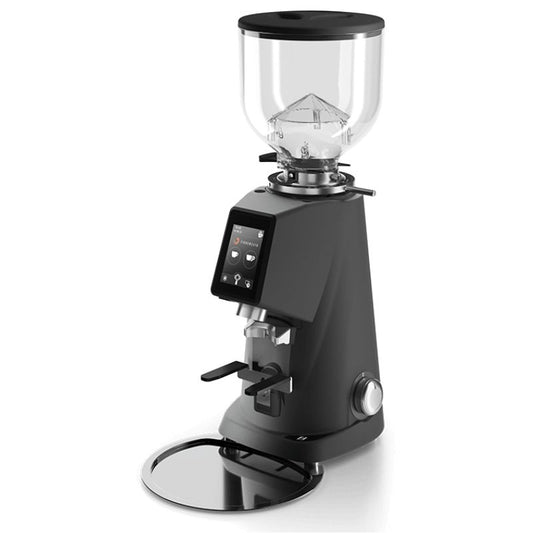 Fiorenzato F4 Evo On Demand Coffee Grinder