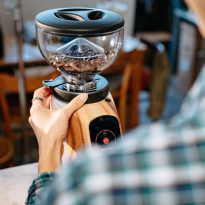 Fiorenzato Allground Sense Grind by Weight Espresso Coffee Grinder