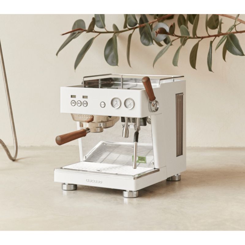 Ascaso Baby T Plus Espresso Machine